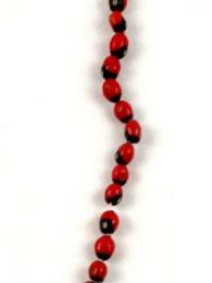 ZAS robapinzas.com | 
	Collar largo de semillas rojas con punto negro
