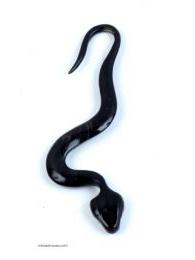 ZAS robapinzas.com | Pendiente dilatador en cuerno, serpiente. Enganche 2mm. Precio Unidad