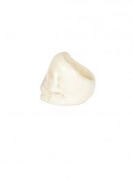 Anillo Calavera tallada cuerno hueso, para comprar al por mayor o detalle.[ANMD04]