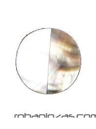 Anillo conchas, nacar, ojo de shiva REALIZADOS EN acero inoxidable Y regulable a todas las tallas ZAS robapinzas.com | Anillo conchas, nacar, ojo de shiva REALIZADOS EN acero inoxidable Y regulable a todas las tallas
