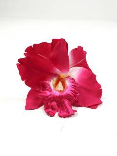 Modelo: M257 Cintas Palos y Pinchos - Accesorios Pelo - flores pelo doble con pinza ORFLTD - Modelo M257