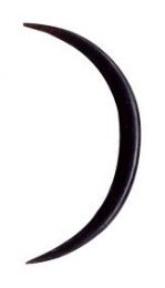 Pinchos y Espirales - Dilatador cuerno de búfalo, PITC02 - Modelo M146