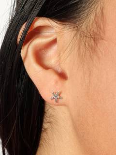 Modelo: Estrella mar Aros y Pendientes Plata - Pendientes de plata de ley PLPT01-A - Modelo Estrella mar